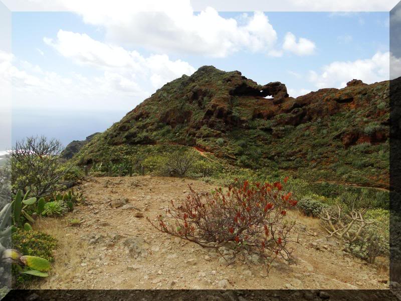 Cruz de Taborno 1.024m. (Tenerife) 94