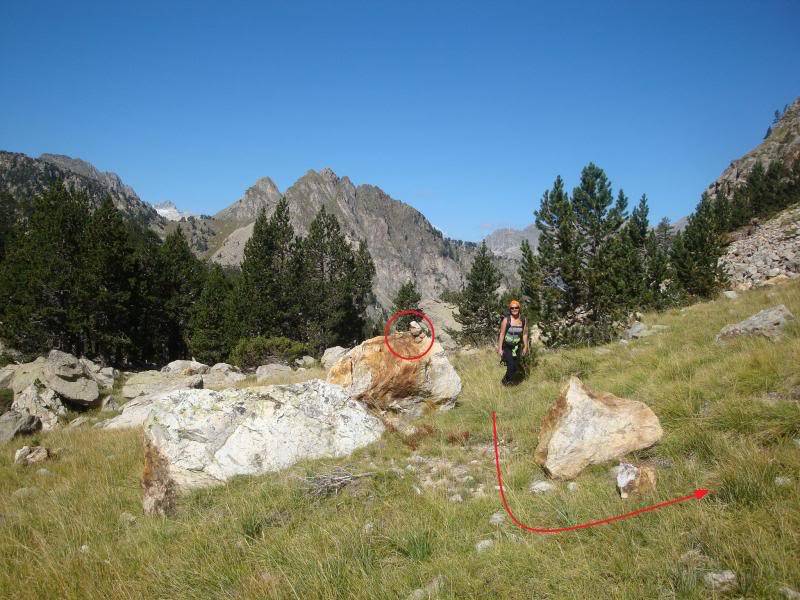 Els Encantats 2.748m. (Aigües Tortes) ELSENCANTATS031-1