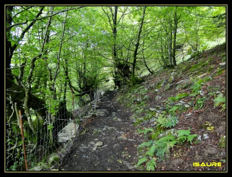 Ascensión al Ernio 1.075m. DSC02761