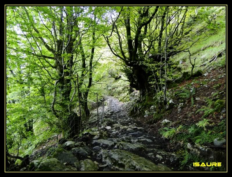 Ascensión al Ernio 1.075m. DSC02763