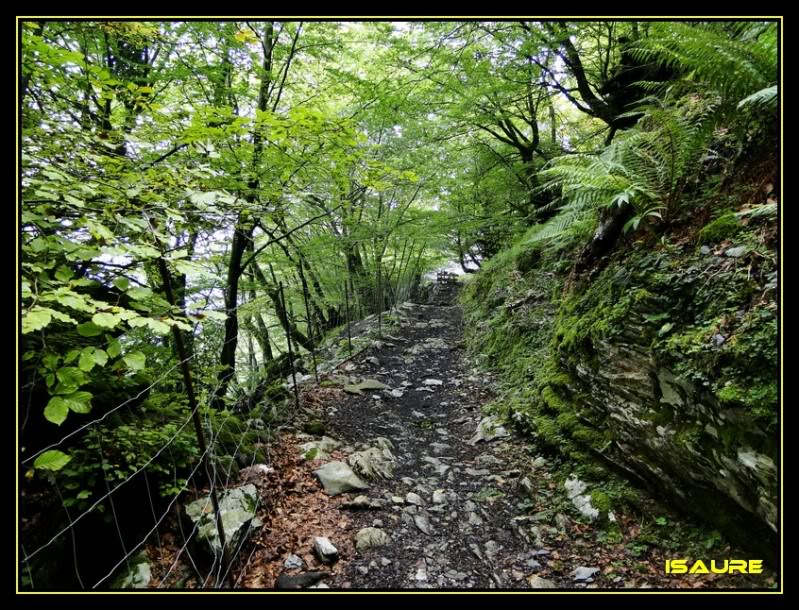 Ascensión al Ernio 1.075m. DSC02764