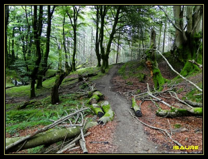 Ascensión al Ernio 1.075m. DSC02773