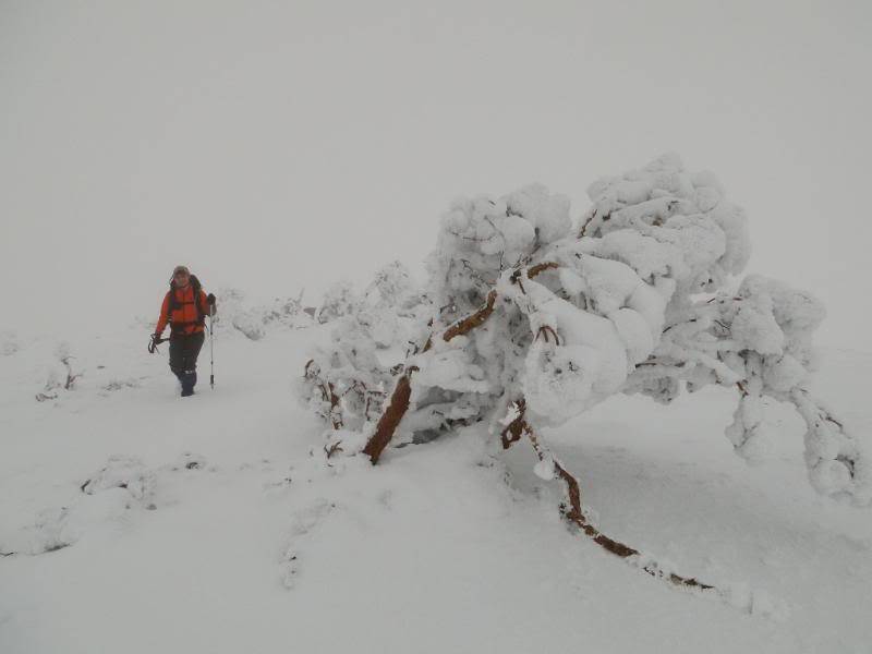 La Mesa de Cebollera 2.168m. desde Puente Ra LAMESA34