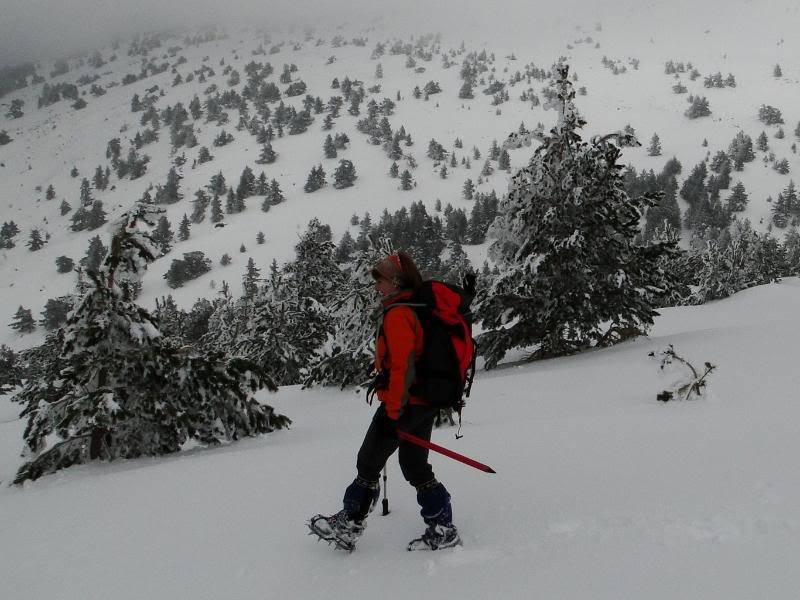 La Mesa de Cebollera 2.168m. desde Puente Ra LAMESA68