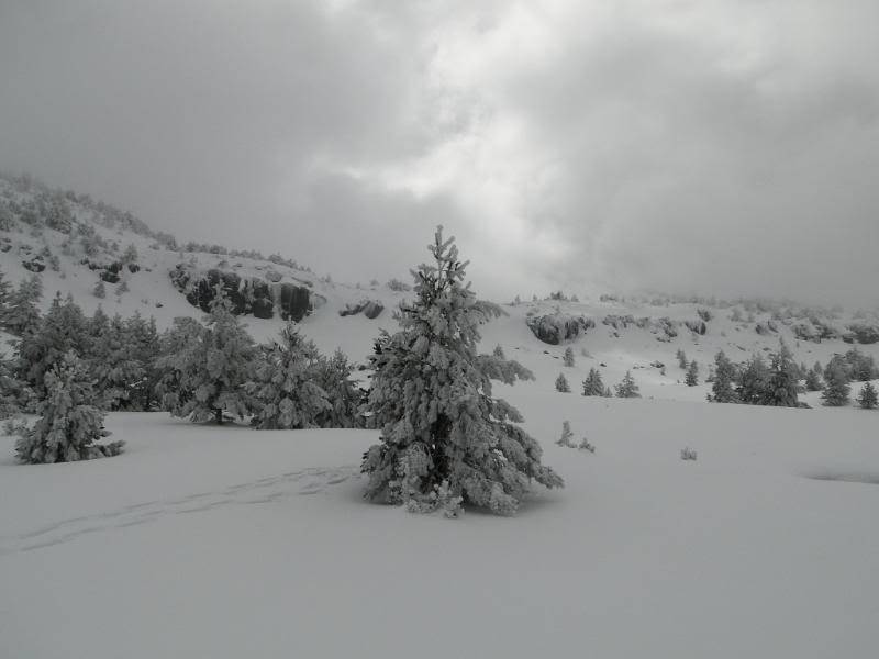 La Mesa de Cebollera 2.168m. desde Puente Ra LAMESA76