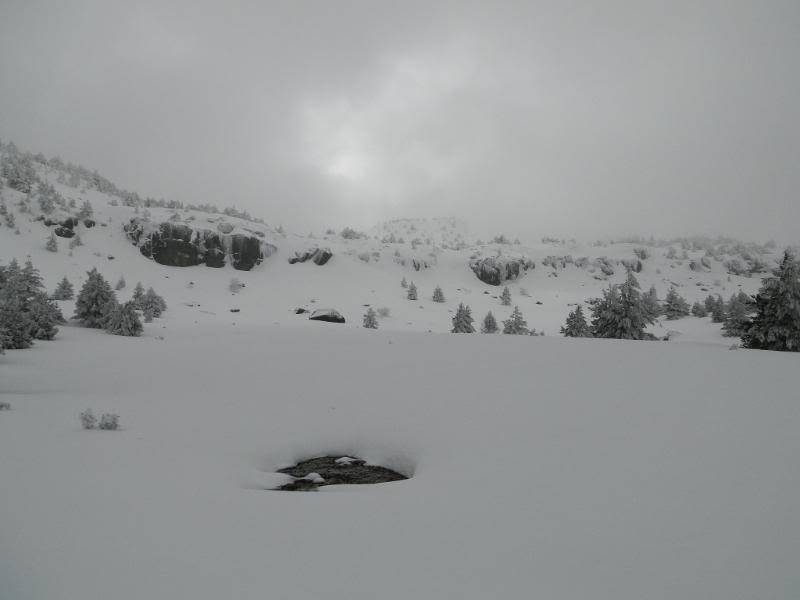 La Mesa de Cebollera 2.168m. desde Puente Ra LAMESA77