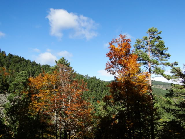 Pico Buey 2.034m. desde Villoslada de Cameros DSC05932