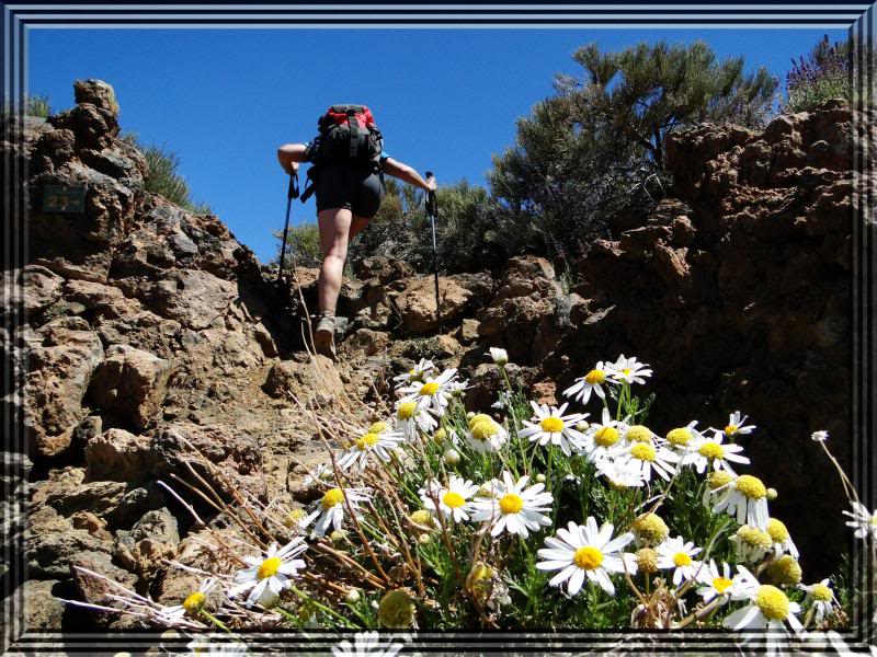 Pico Viejo 3.134m. (Tenerife) 22