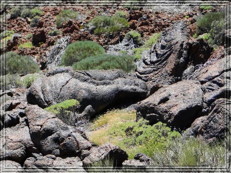 Los Roques de Garcia (Tenerife) 17