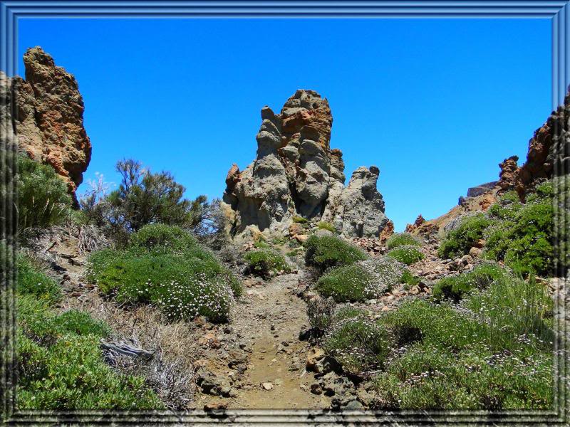 Los Roques de Garcia (Tenerife) 26