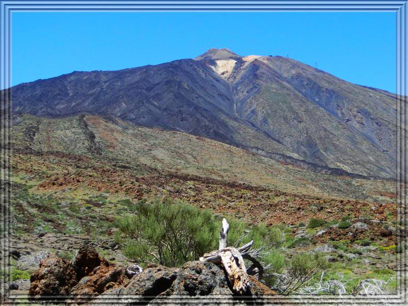 Los Roques de Garcia (Tenerife) 33