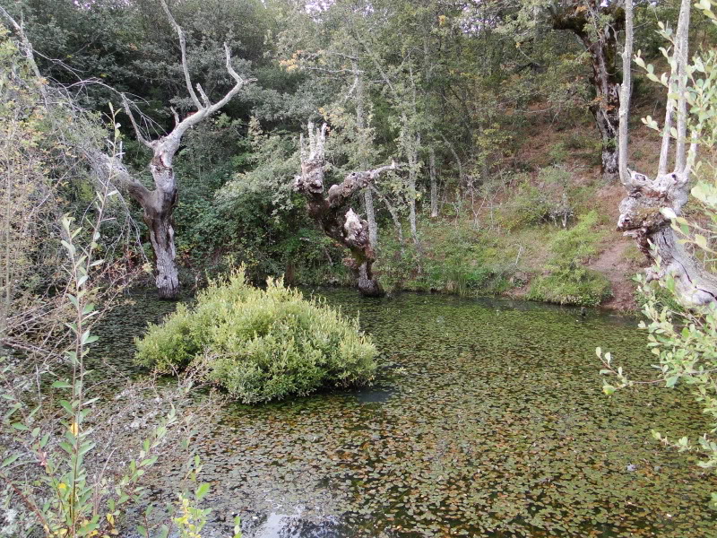 Vía Verde de la Demanda DSC05391