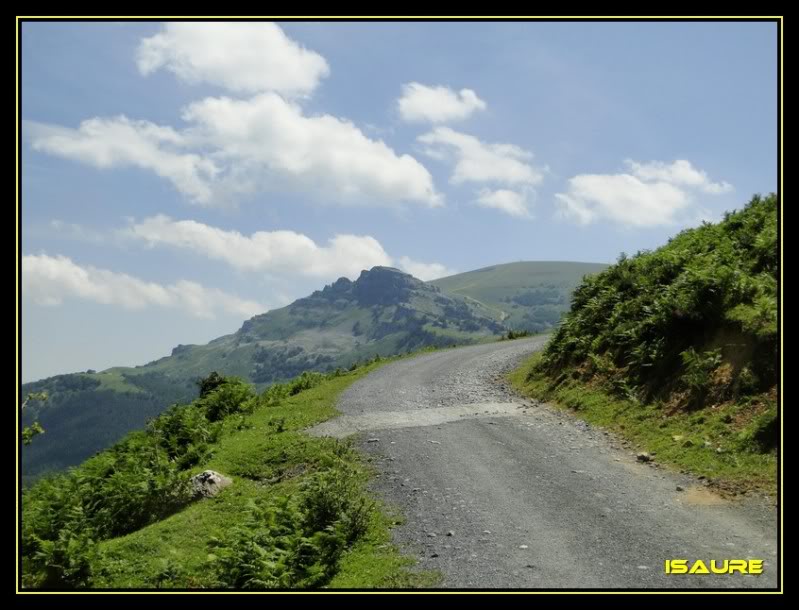 Ascensión y vuelta al Gorbea 1.481m. DSC01458