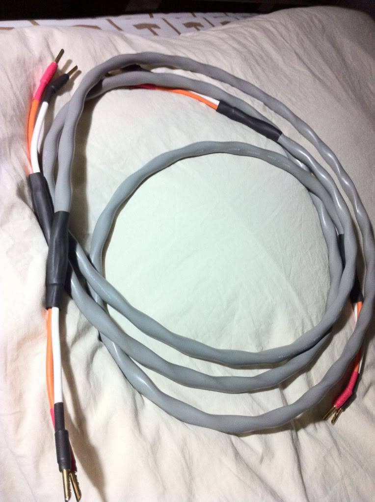 Speaker cable = theory or mitos Canare