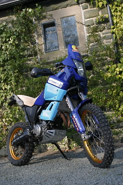 XTZ Dakar anyone??? IMG_6684