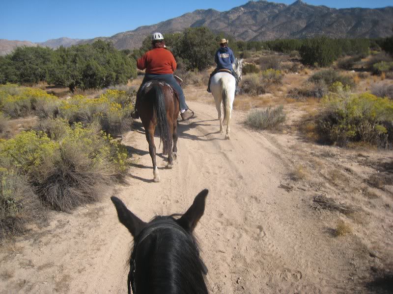 Camping with the Horses at Mojave River Forks Regional Park (Caution Picture Intensive) IMG_1410