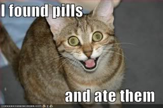 La suite d'image - Page 2 Lolcat-funny-picture-found-pills-ate-eat