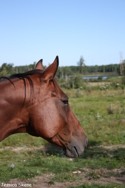 une petite visite et une rando en prime :) IMG_9290