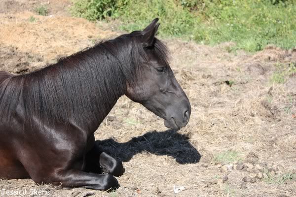 une petite visite et une rando en prime :) IMG_9310