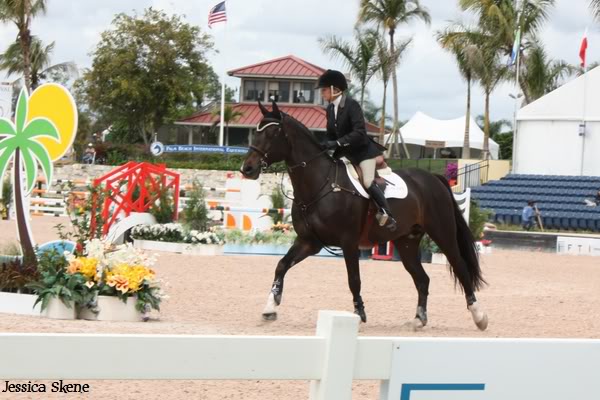 19 mars 2009, CSI 5* winter equestrian festival, west palm beach floride ! IMG_3366