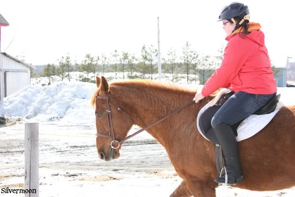 Petit cours classique avec stormy et gege IMG_3880