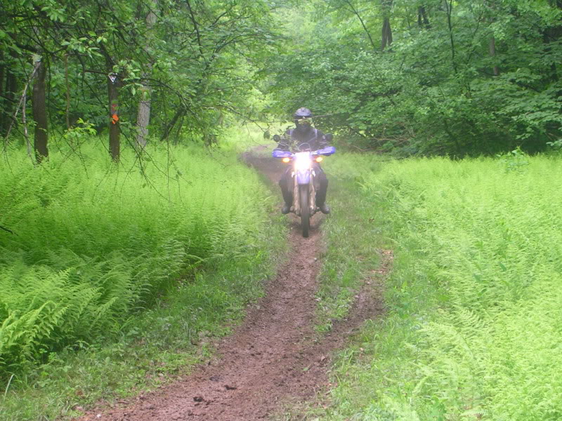 Durty Dabbers Dualsport 2011 DSCN0978