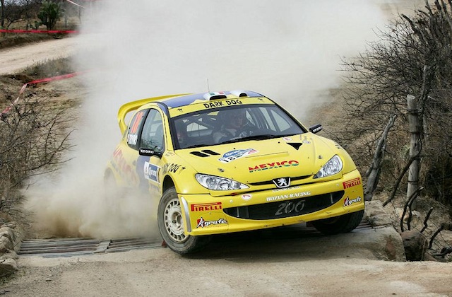 1/18, AA Peugeot 206 WRC, 2005 Mexico Rally, Ricardo Trivino Pl_a_6_trivino_1_zps644bc3f9