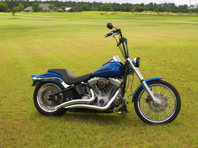 2007 Harley Davidson FXST . . . . my baby . . . for sale. CopyofP1014520