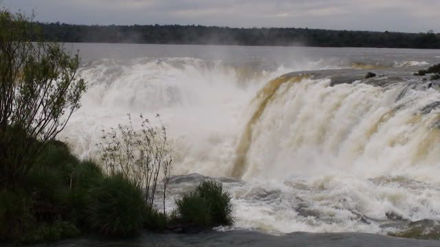 Visita a las Cataratas del Iguazu 2010 DSC03601