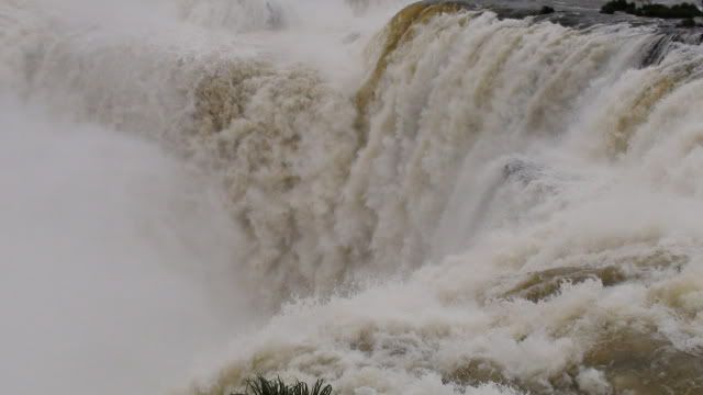 Visita a las Cataratas del Iguazu 2010 DSC03604