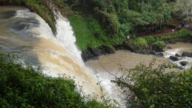 Visita a las Cataratas del Iguazu 2010 DSC03655