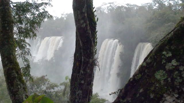 Visita a las Cataratas del Iguazu 2010 DSC03667