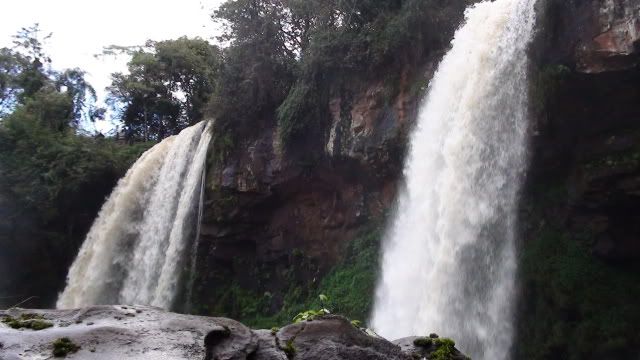 Visita a las Cataratas del Iguazu 2010 DSC03762