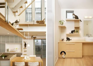 I Stumble Upon These (8)- Cat-friendly house Japancathouse1