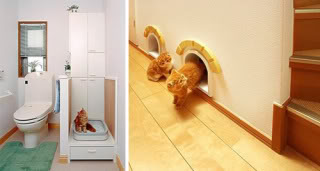 I Stumble Upon These (8)- Cat-friendly house Japancathouse2