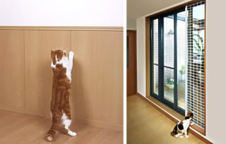 I Stumble Upon These (8)- Cat-friendly house Japancathouse4