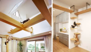 I Stumble Upon These (8)- Cat-friendly house Japancathouse5