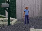 Ossu seikleb "The Sims 3"-es | MAJAKENE (15.august 2010) Th_pilt3-2