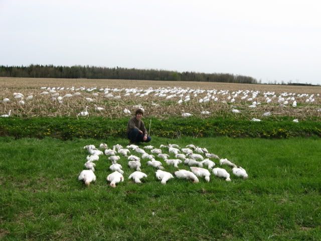 pour notre amis québequoi Saisondechasseautomne2008etprint-6