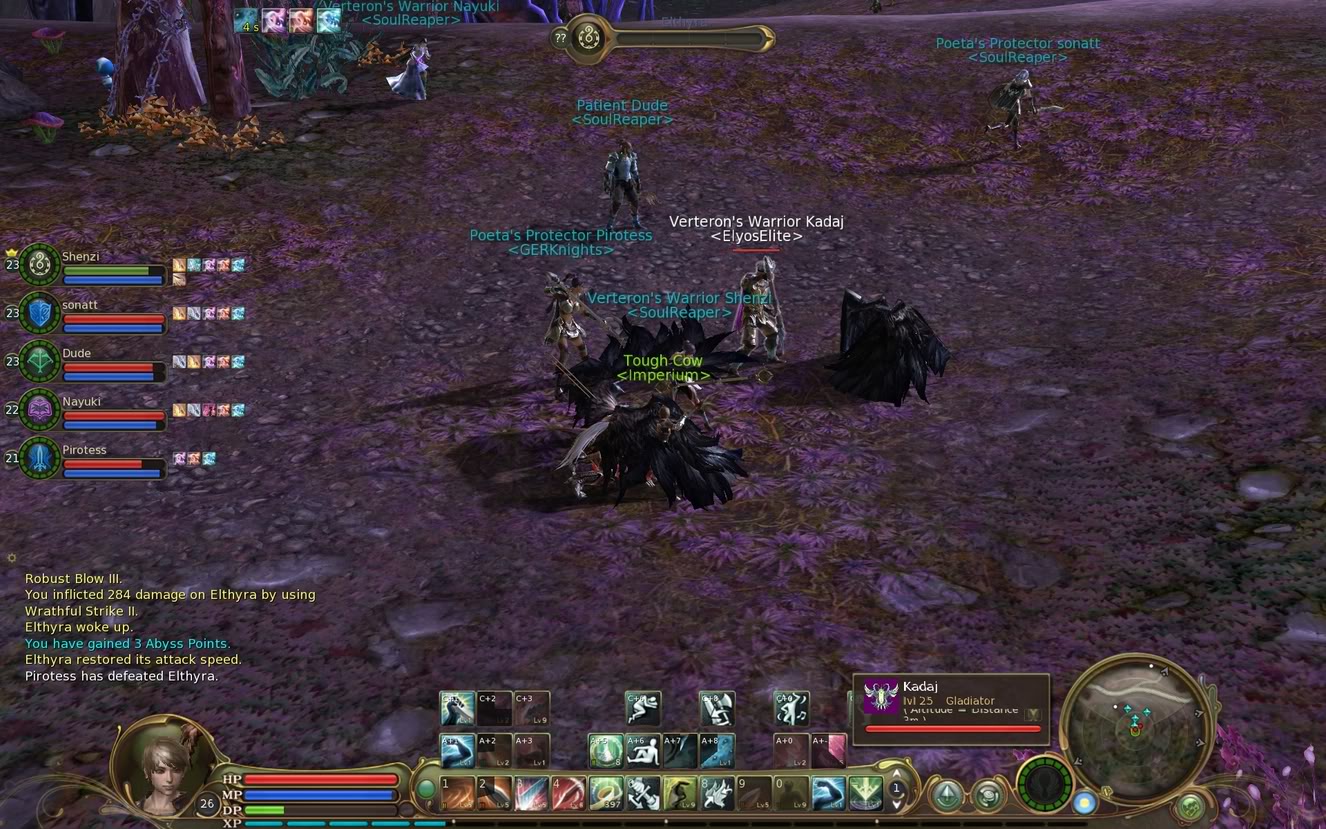 Aion screenies - Page 3 Asmo3