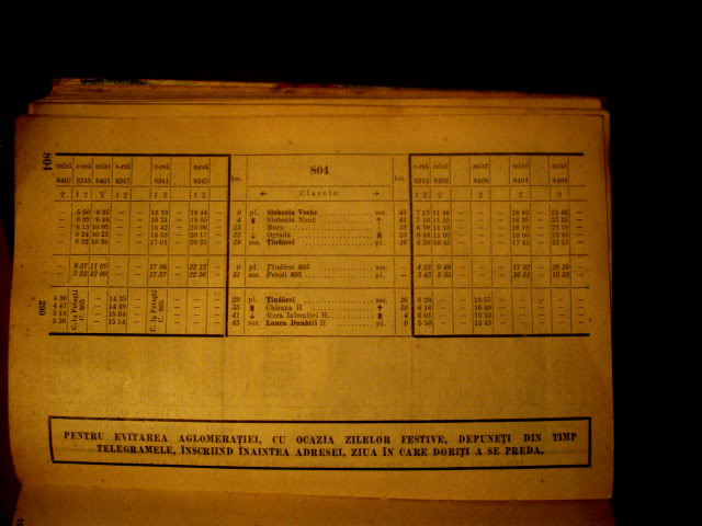 701 : Ploiesti Sud - Urziceni - Slobozia Veche - Tandarei - Pagina 2 IMGP0648