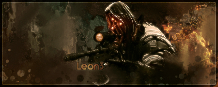 Some of my work Leon3