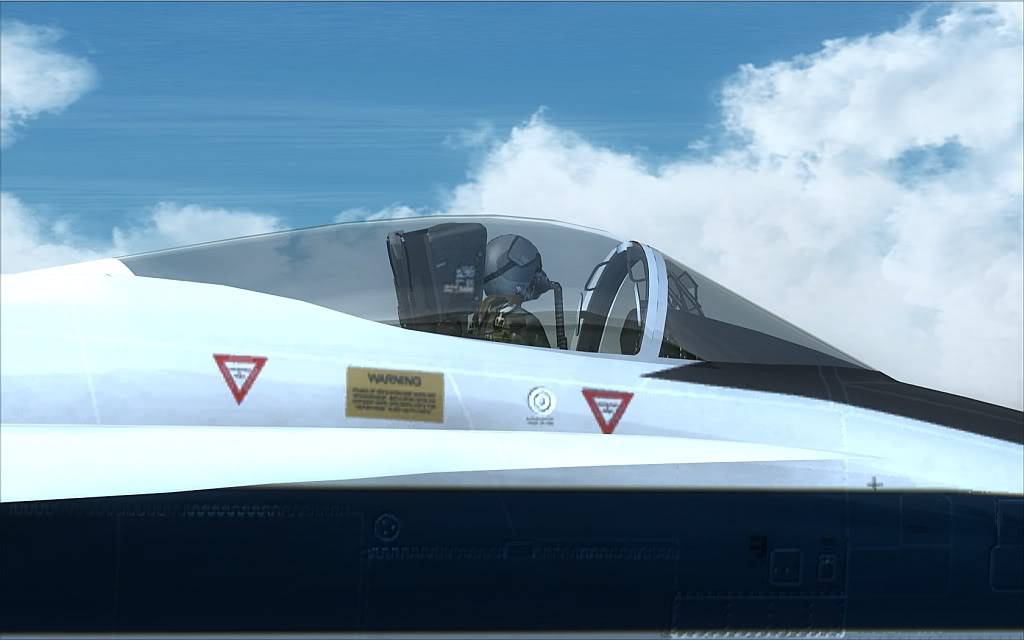 [FSX] FL700 - NASA's Boeing F/A-18 2009-8-15_17-40-9-374