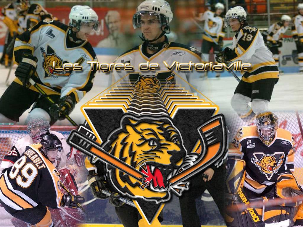 photo Tigres_Victoriaville