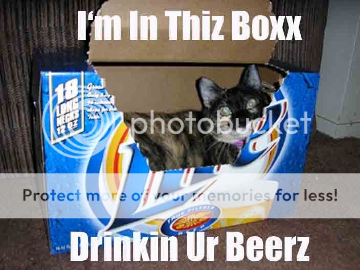 Cat Macros!! Beercat