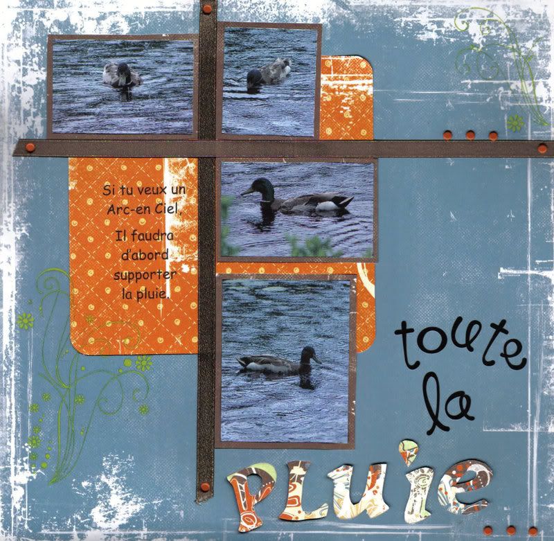 Toute la pluie...  16 fév 101-Toutelapluie16fv2008