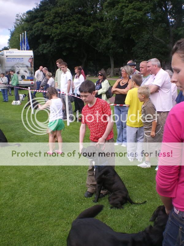 Fun Dog Show - Edinburgh LiamRudy2