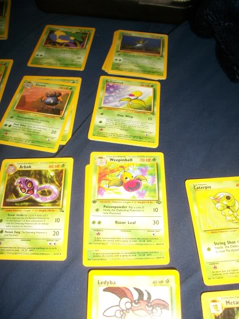 I no longer have need of my Pokemon Cards. 100_4225