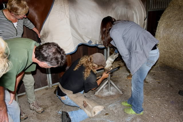 Clinic hoefverzorging --> 12 juli in Gro Beren Clinic2