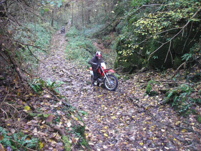 Wye valley ride report P1150024